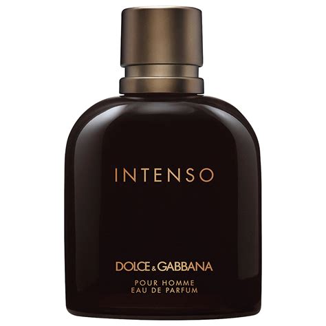 dolce & gabbana intenso dolce gabbana|d&g website.